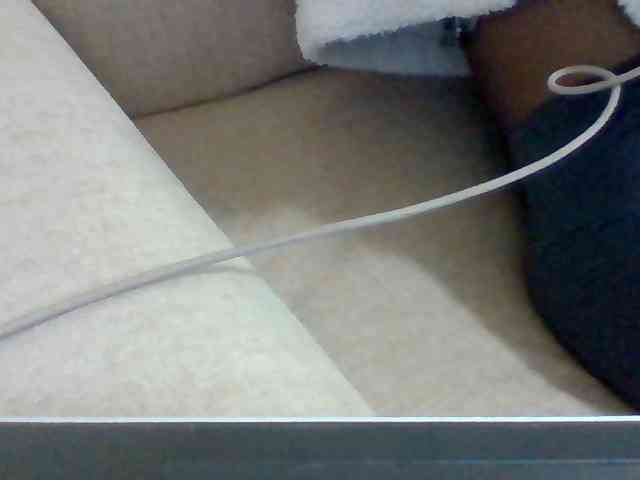 Dollie webcam