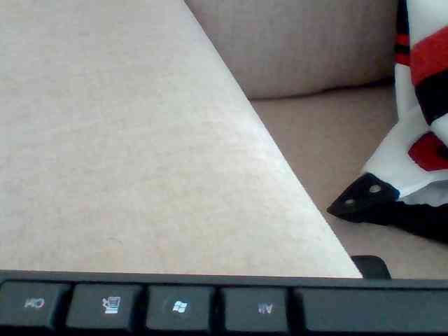 Dollie webcam