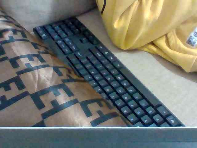 Dollie webcam