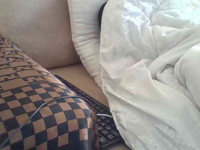 Dollie webcam