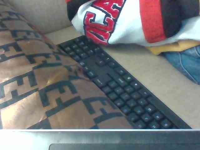 Dollie webcam