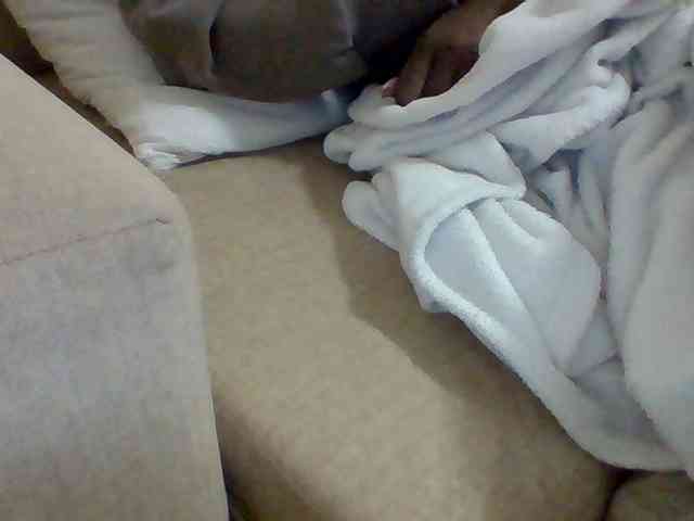 Dollie webcam