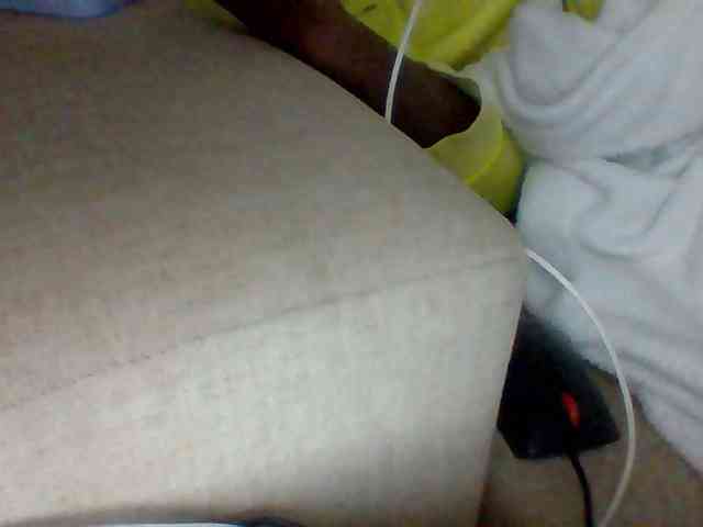 Dollie webcam