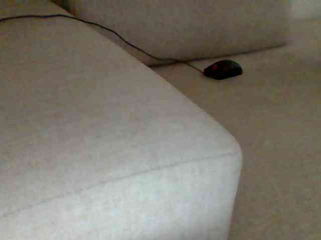 Dollie webcam
