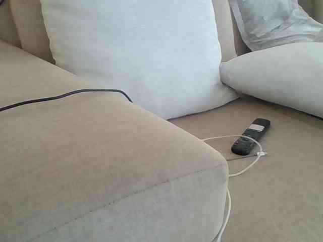 Dollie webcam