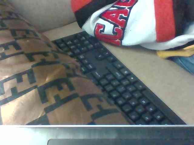 Dollie webcam