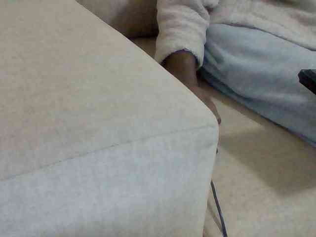 Dollie webcam