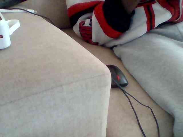Dollie webcam