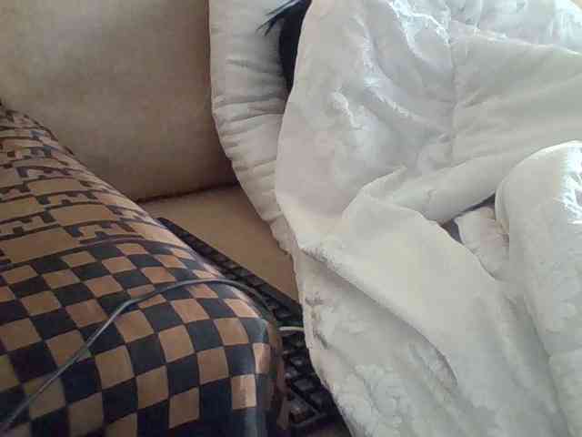 Dollie webcam