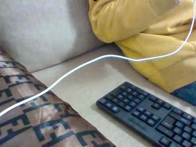 Dollie webcam