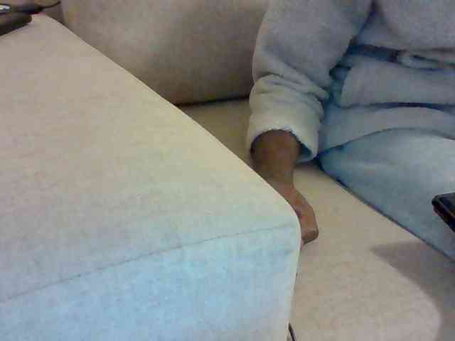 Dollie webcam