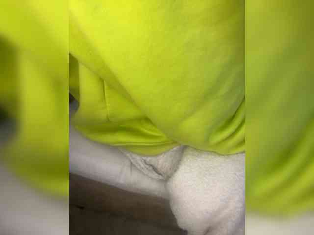 Dollie webcam