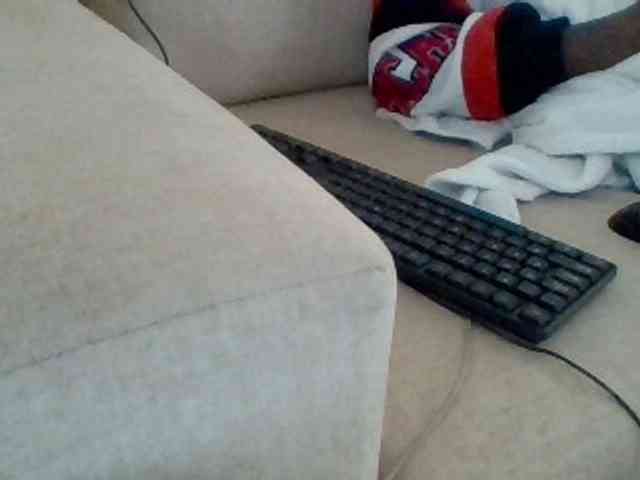 Dollie webcam