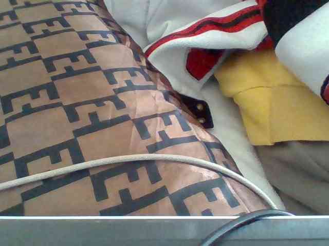 Dollie webcam