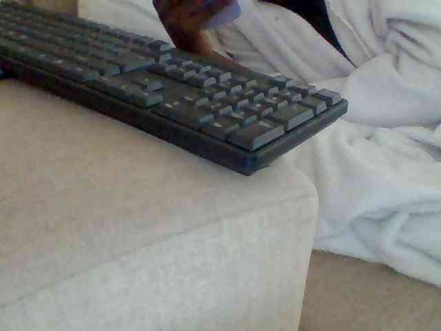 Dollie webcam