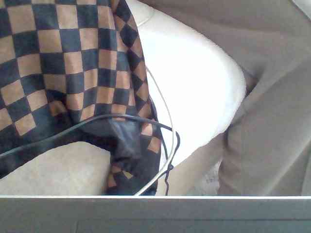 Dollie webcam