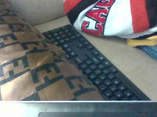 Dollie webcam