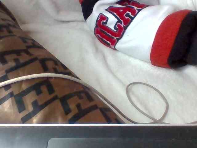 Dollie webcam