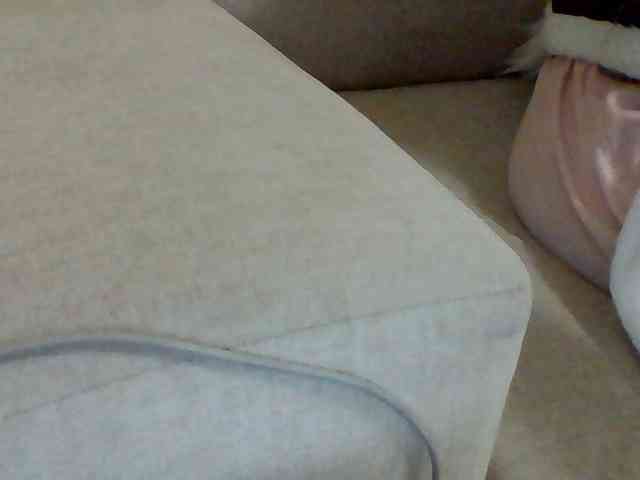 Dollie webcam