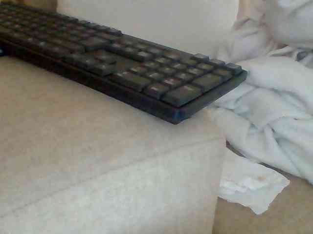 Dollie webcam
