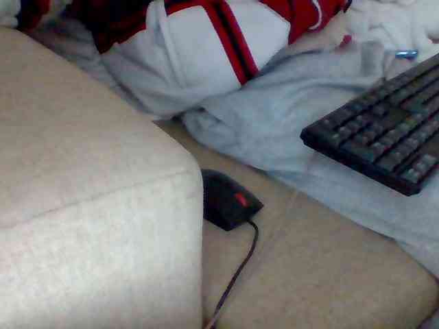 Dollie webcam
