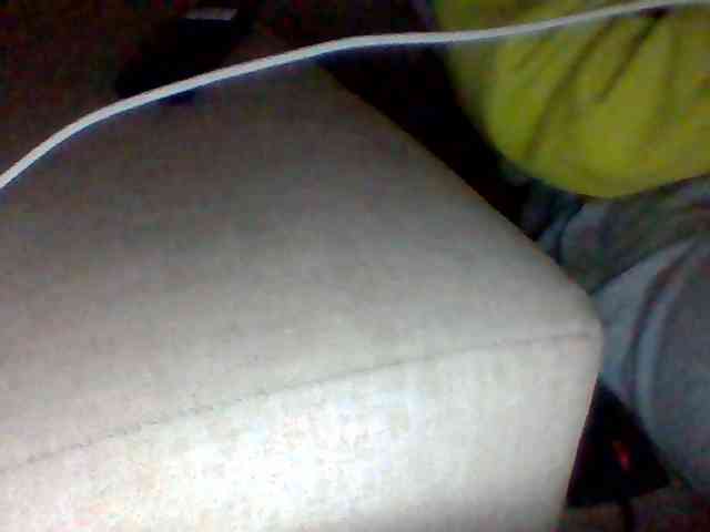 Dollie webcam