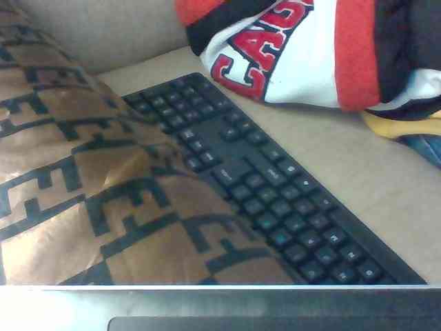 Dollie webcam