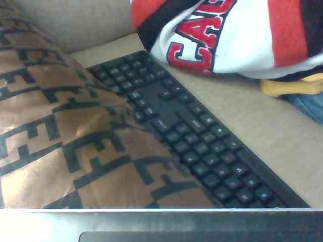 Dollie webcam