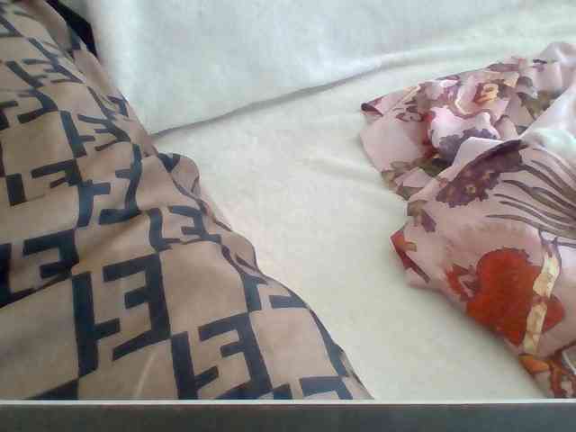 Dollie webcam