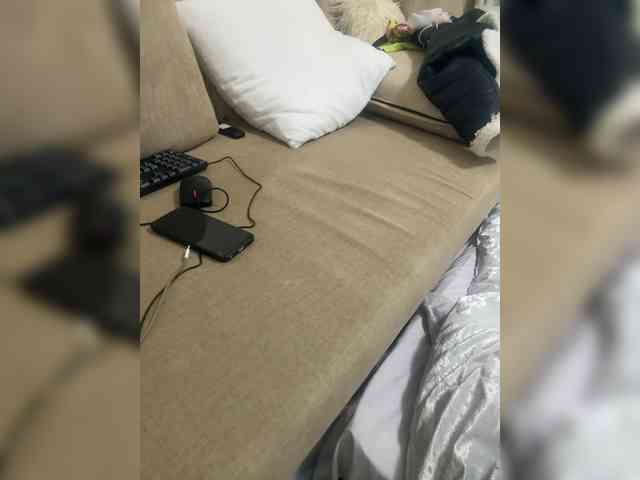 Dollie webcam
