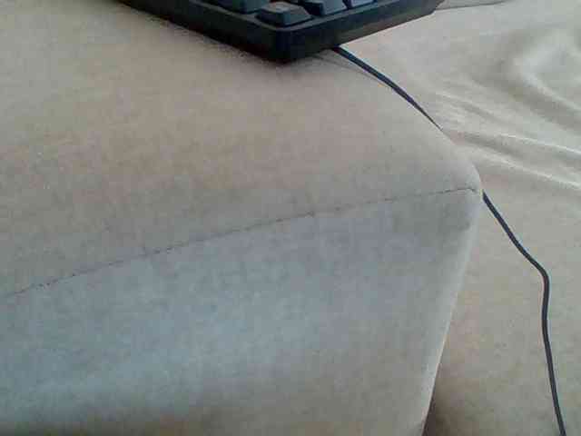 Dollie webcam