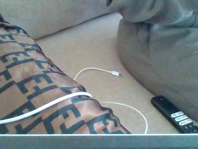 Dollie webcam