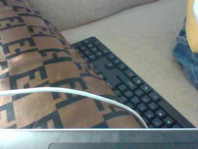 Dollie webcam