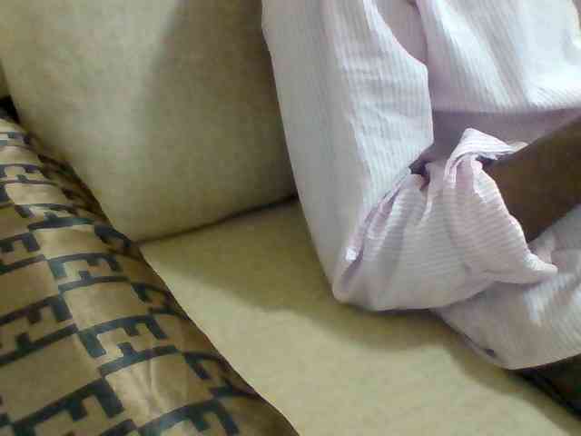 Dollie webcam