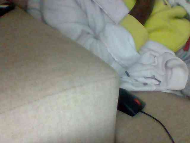 Dollie webcam
