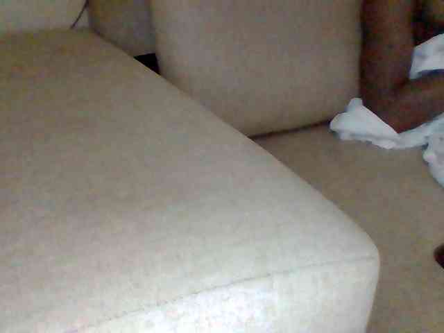 Dollie webcam
