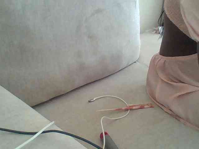 Dollie webcam
