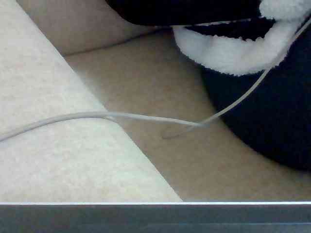 Dollie webcam