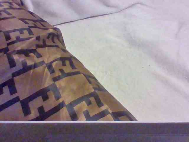 Dollie webcam