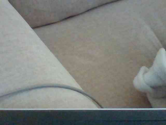 Dollie webcam