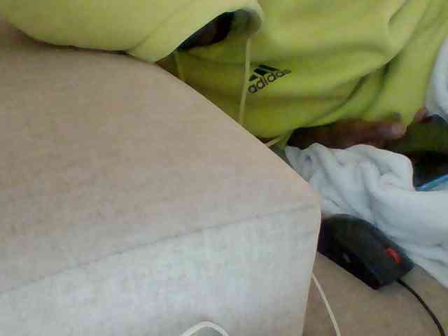 Dollie webcam