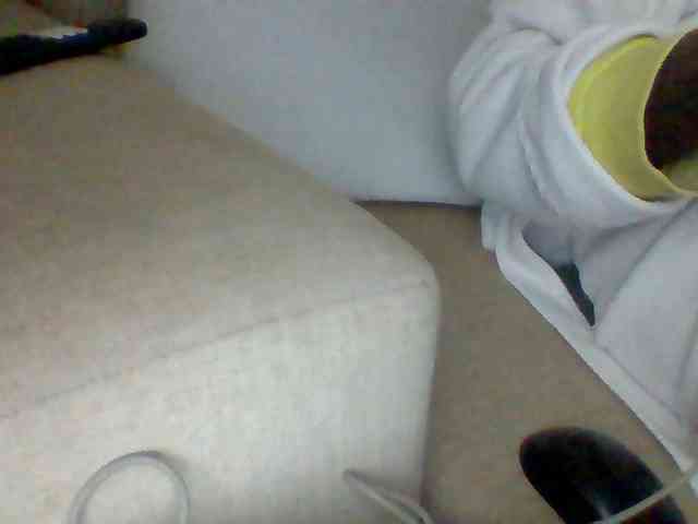 Dollie webcam
