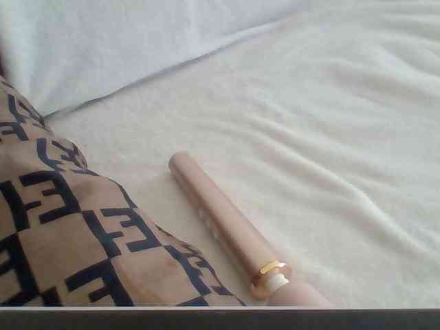 Dollie webcam