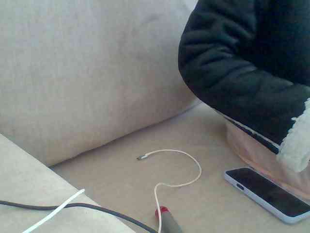 Dollie webcam
