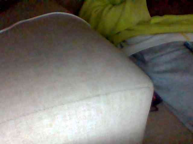 Dollie webcam