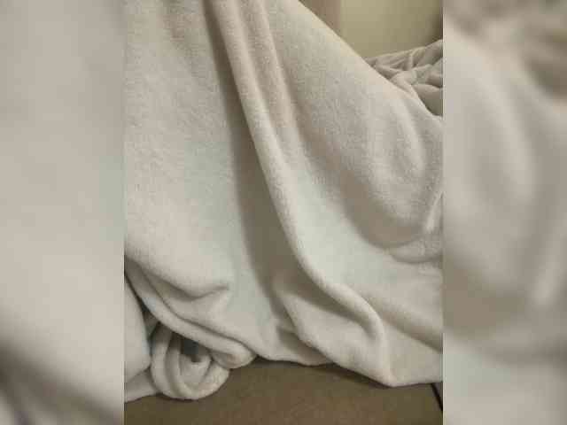 Dollie webcam