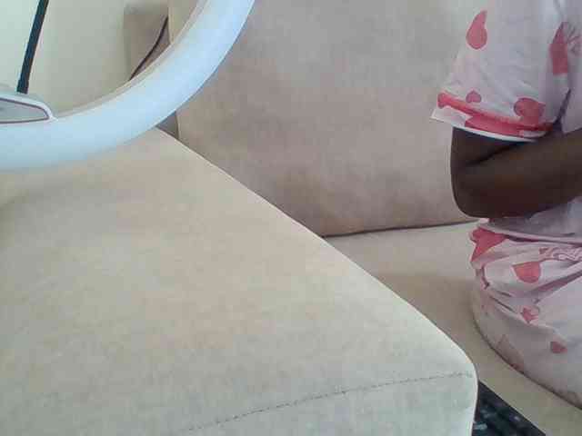 Dollie webcam