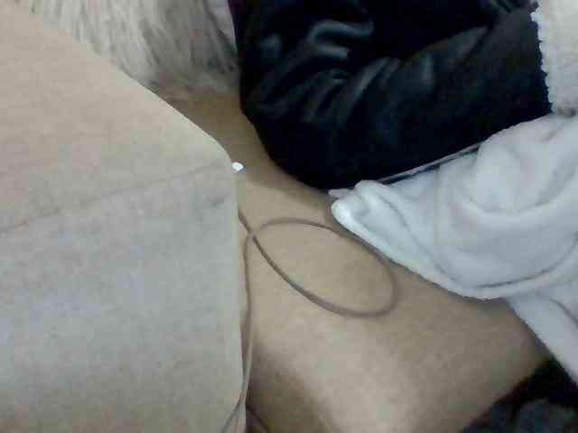 Dollie webcam