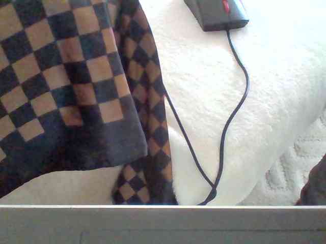 Dollie webcam