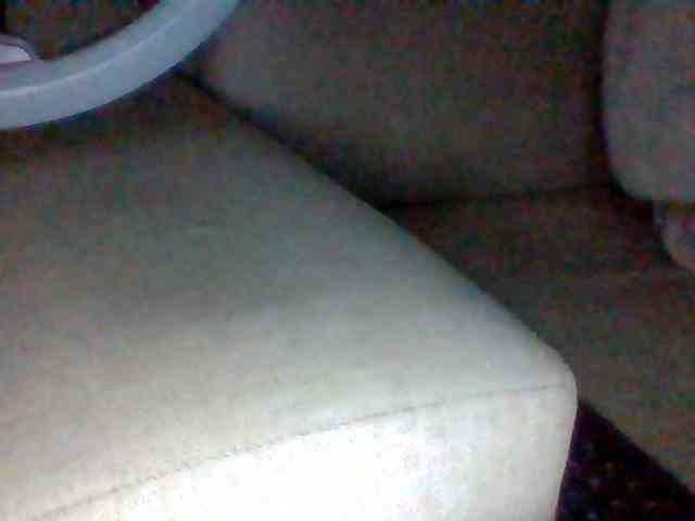 Dollie webcam
